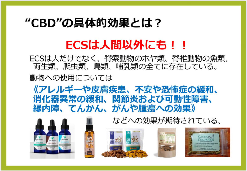 CBDの基礎知識 推奨アイテム 一般社団法人 Flower of Life